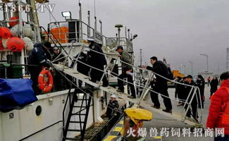 2019開門紅 橫沙國際漁港喜迎年度首艘外輪，助力畜牧漁業飼料銷售