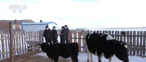保暖服務專班提供精細化服務，保障漁業畜牧業生產安全與飼料銷售